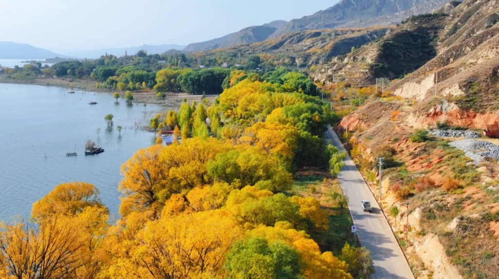 如果秋有语 那一定是黄河三湾的鎏金絮语 ——二十届四中全会精神浸润下的永靖深秋图景