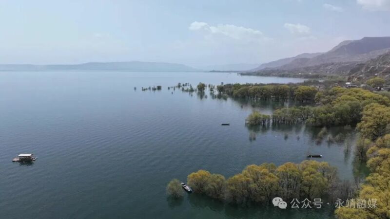 一湾碧水留客驻 满目春光入画来